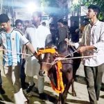 জবিতে মন্দিরের পাশে ‘গরু ভোজ’ বিতর্ক: ওপরে ওপরে সম্প্রীতির বাণী, নেপথ্যে ছাত্রশক্তি নেতার সংশ্লিষ্টতা