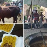 জবি ক্যাম্পাসে পশু জবাই গরুভোজ কর্মসূচি পালিত