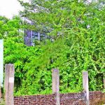উচ্চপদস্থ পুলিশ কর্মকর্তার বাড়ি বলে কথা!