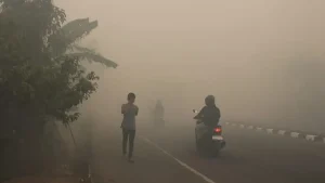 ইন্দোনেশিয়ায় শ্বাসতন্ত্রের সংক্রমণে আক্রান্ত ৩ লাখ ৩৩ হাজার মানুষ