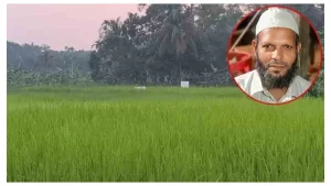 lপিরোজপুরে ৫ আগস্টের পর থেকে মন্দিরের জমি দখল করে ধান চাষ জামায়াত আমিরের