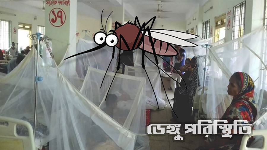 ডেঙ্গুতে আরও ৬ জনের মৃত্যু, হাসপাতালে ১৬০৮