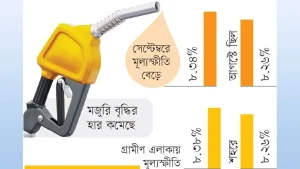 জ্বালানি তেলের প্রভাবে বেড়েছে মূল্যস্ফীতি